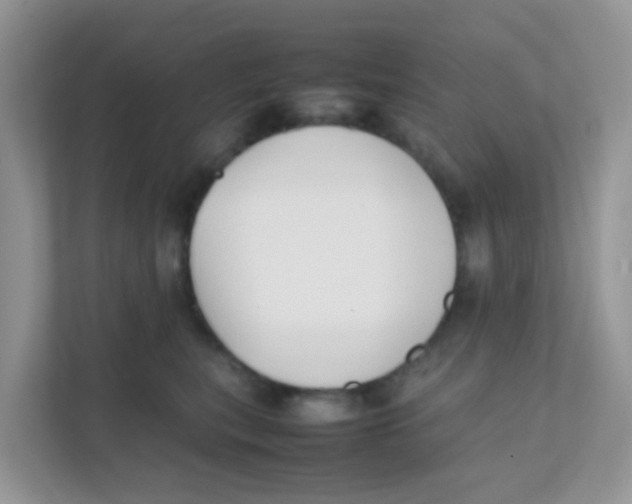 X0000111370567200907311035