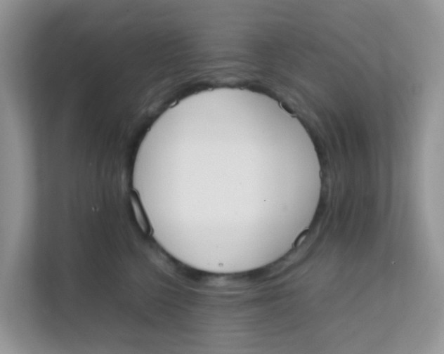 X0000111370568200907311035