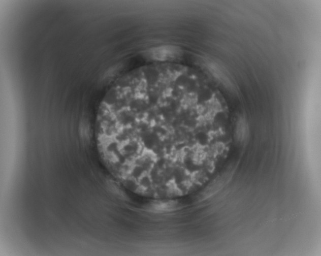 X0000111370569200907311035