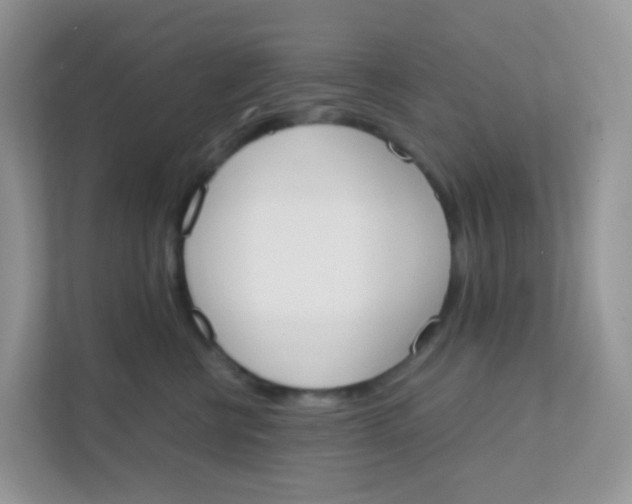 X0000111370570200907311035