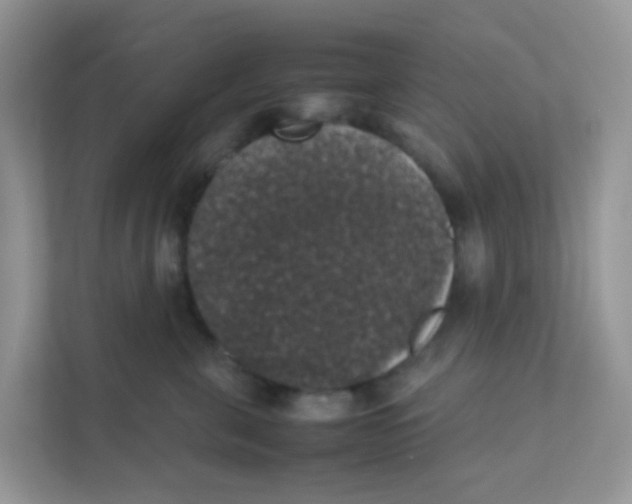 X0000111370571200907311035