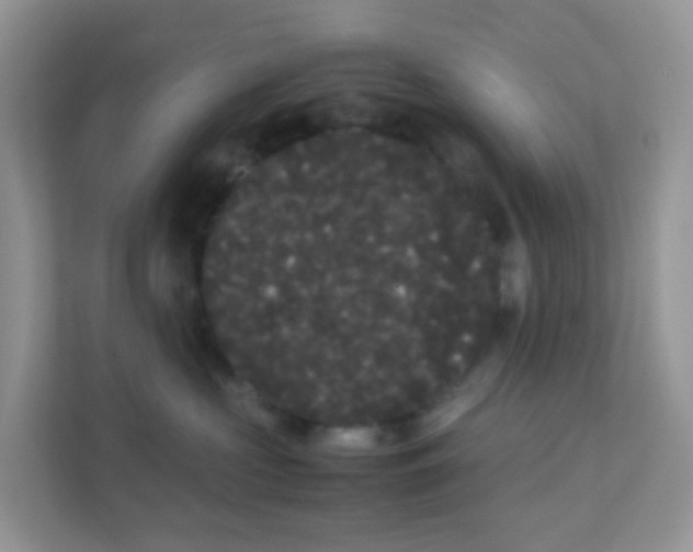 X0000111370573200907311035