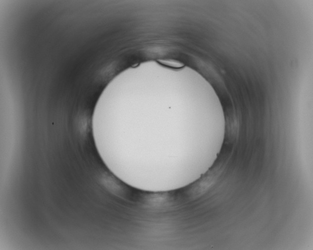 X0000111370574200907311035