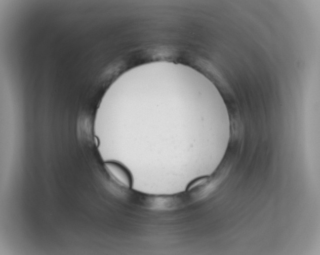 X0000111370575200907311035