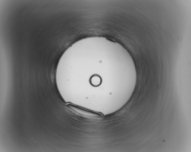 X0000111370576200907311035