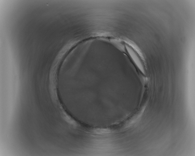 X0000111370577200907311035