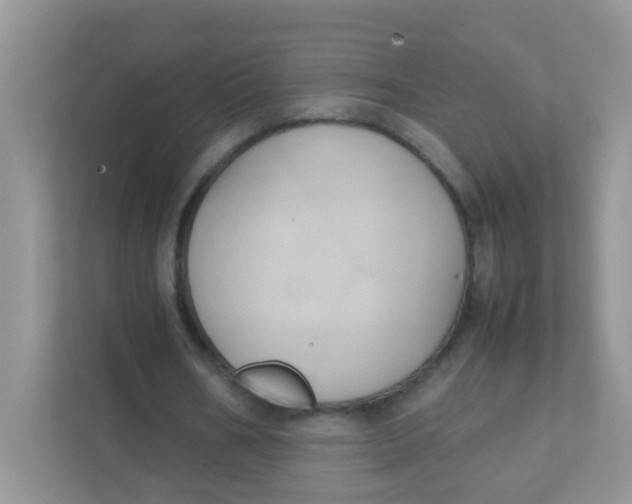 X0000111370578200907311035