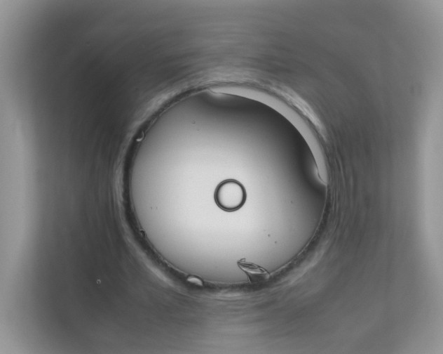 X0000111370581200907311035
