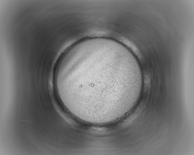 X0000111370582200907311035