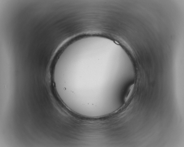 X0000111370584200907311035