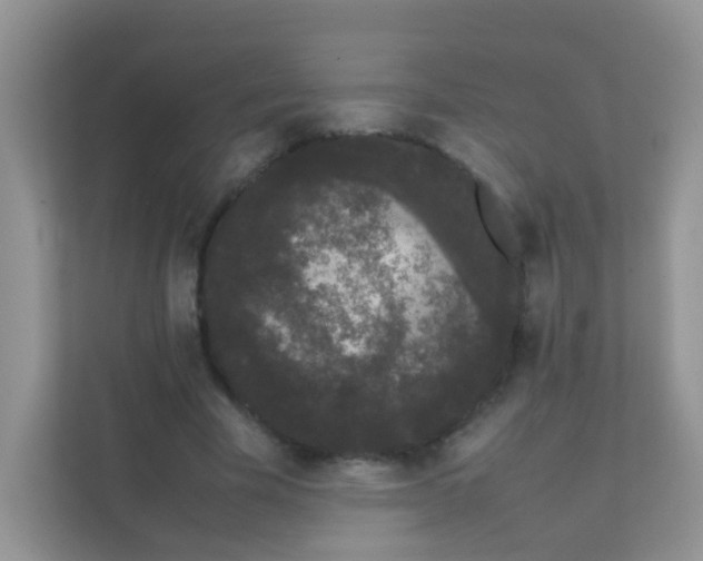 X0000111370585200907311035