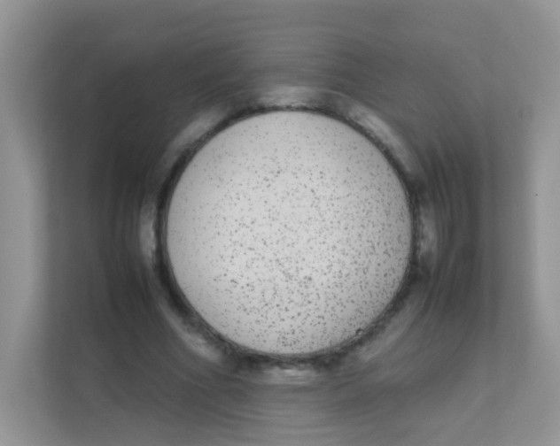 X0000111370586200907311035