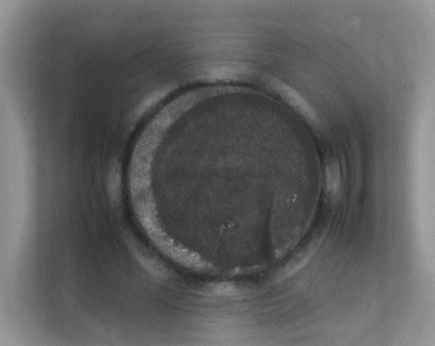 X0000111370588200907311035