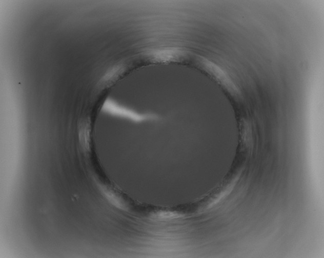 X0000111370590200907311035