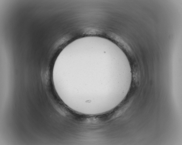 X0000111370591200907311035