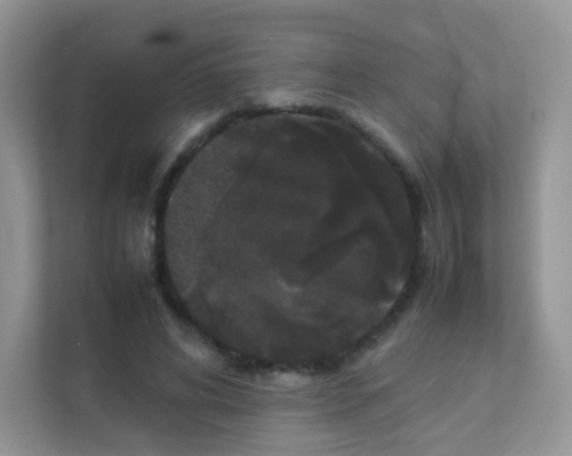 X0000111370592200907311035