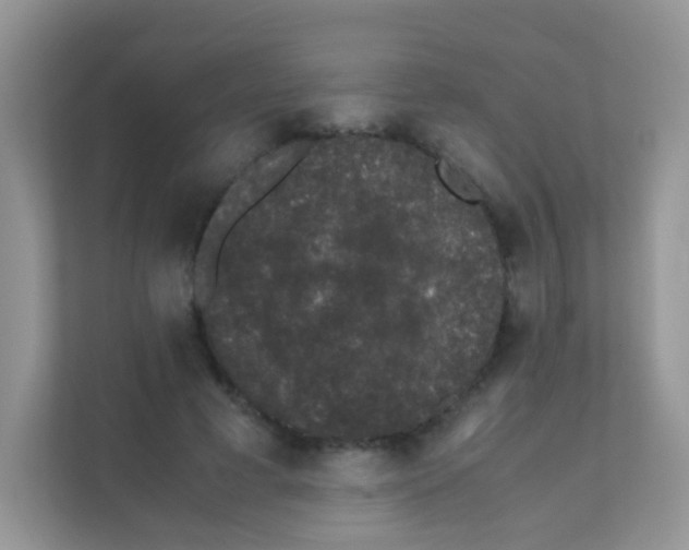 X0000111370593200907311035