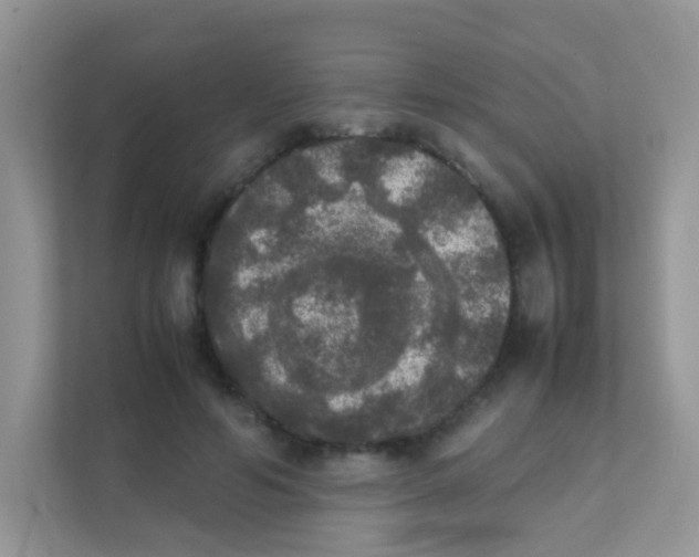 X0000111370594200907311034