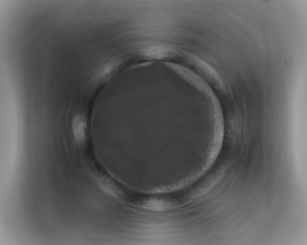 X0000111370596200907311034