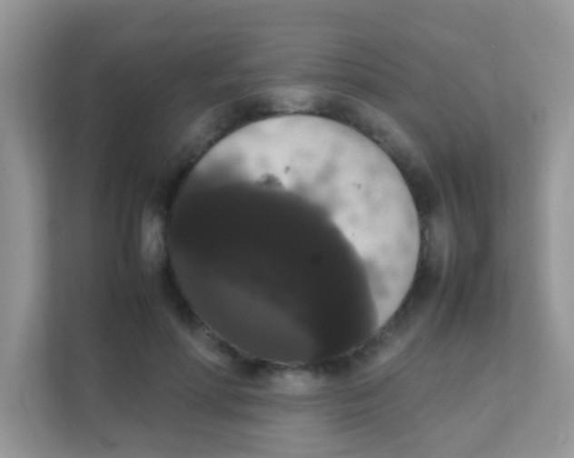 X0000111370598200907311034