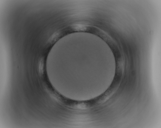 X0000111370600200907311034
