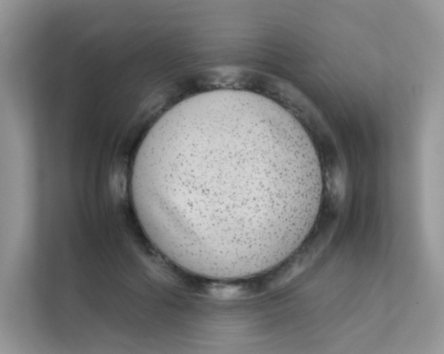 X0000111370602200907311034