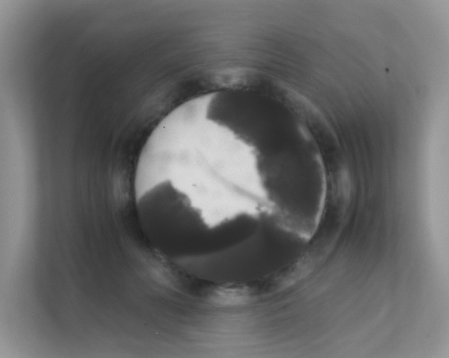 X0000111370606200907311034