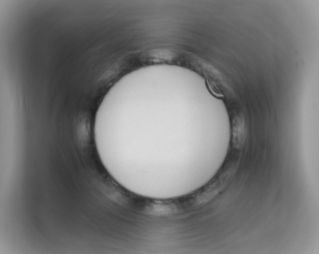 X0000111370608200907311034