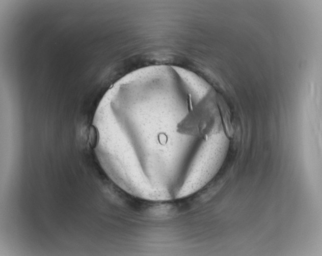 X0000111370609200907311034