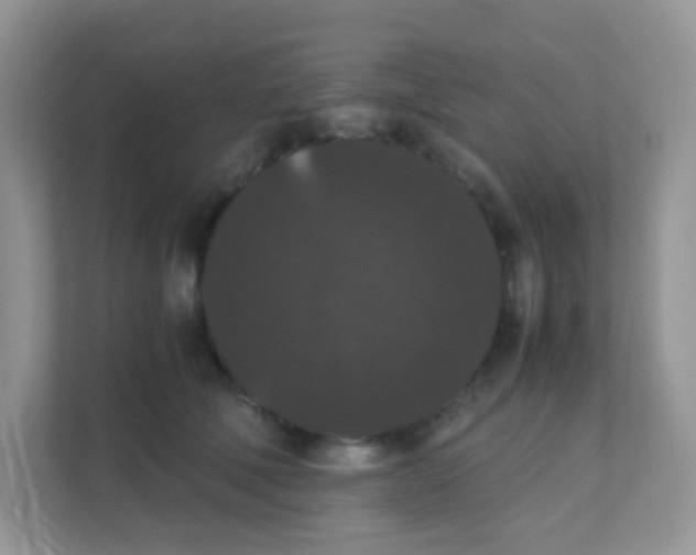 X0000111370610200907311034