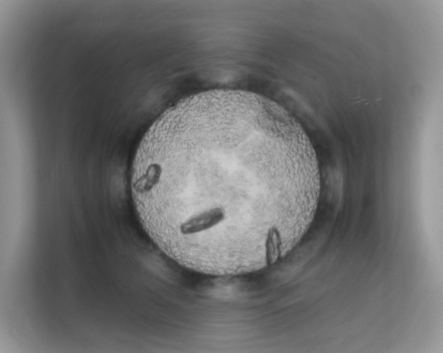 X0000111370612200907311034