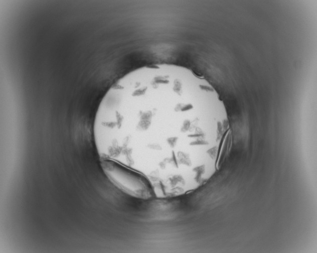 X0000111370613200907311034