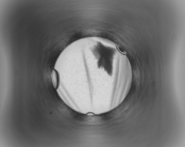 X0000111370617200907311034