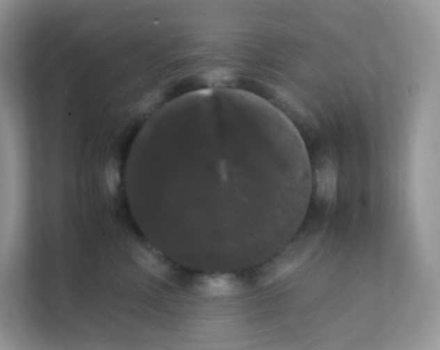 X0000111370618200907311034