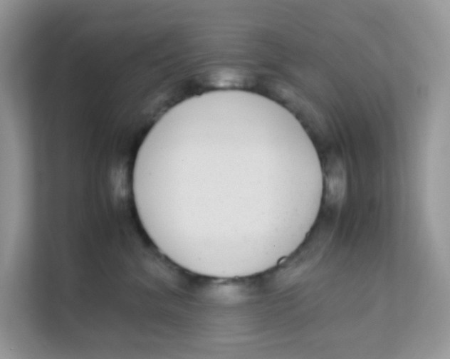 X0000111370620200907311034