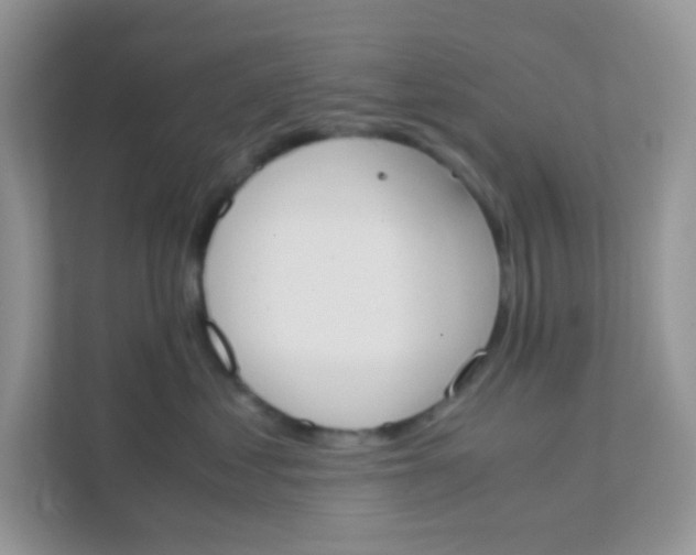 X0000111370621200907311034