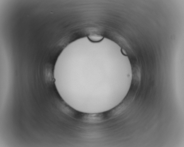 X0000111370622200907311034