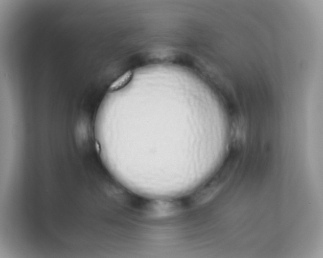 X0000111370623200907311034