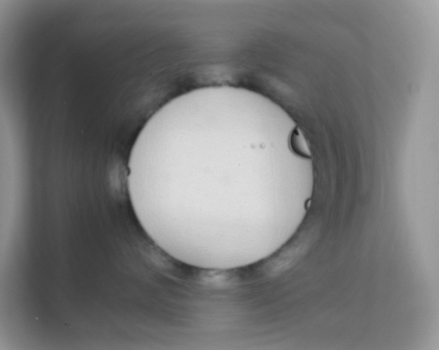 X0000111370624200907311034