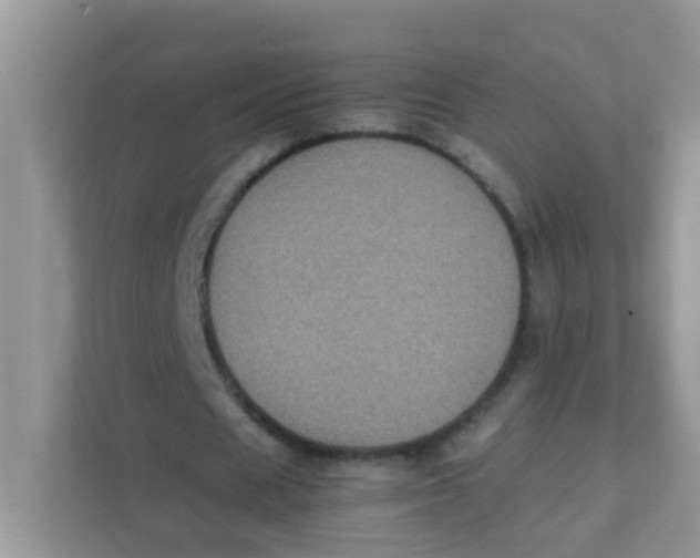 X0000111370625200907311033