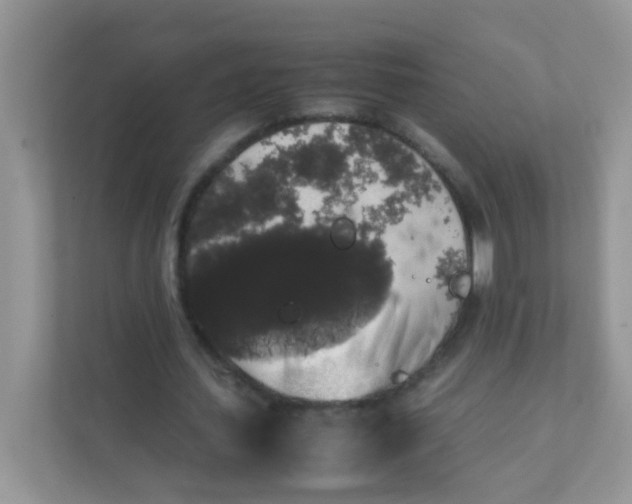 X0000111370627200907311033
