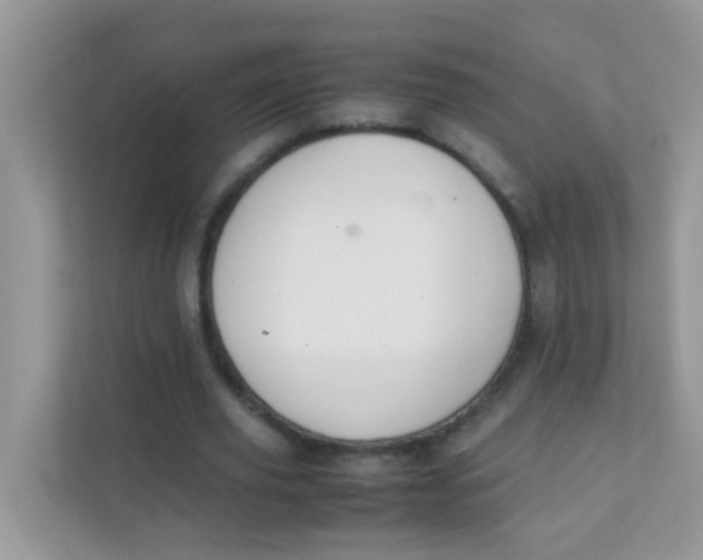 X0000111370629200907311034