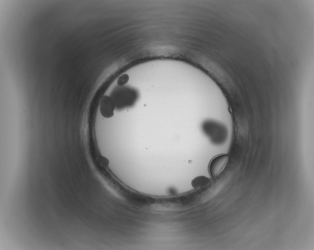 X0000111370630200907311034
