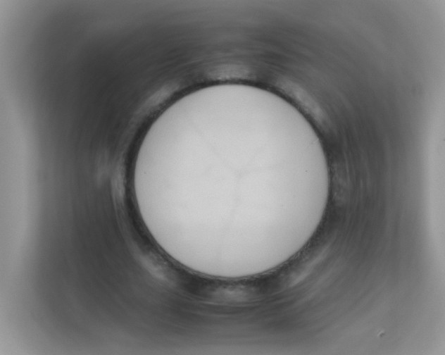 X0000111370631200907311034