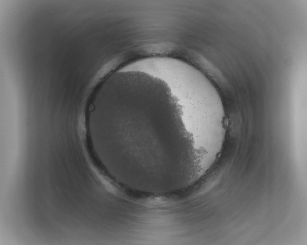 X0000111370634200907311034