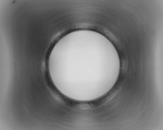 X0000111370636200907311034