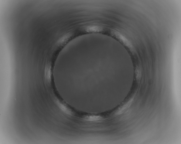 X0000111370637200907311034