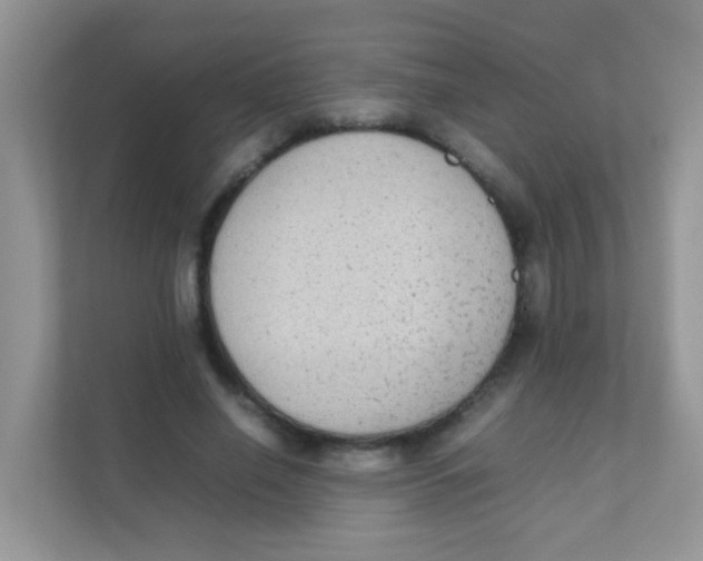 X0000111370638200907311034