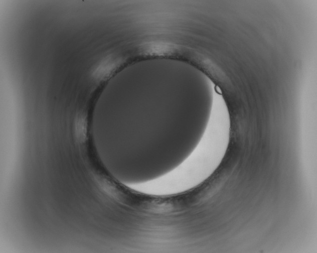 X0000111370640200907311034