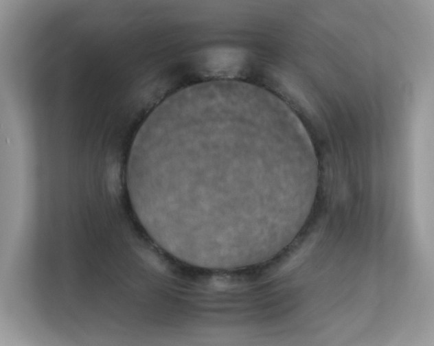 X0000111370641200907311034